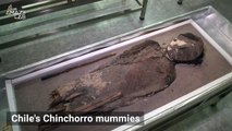 Lost Rolls of Film From the 1960’s Provide Earliest Known Evidence of Mummification