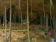 Grotto collapse in central Brazil kills 10