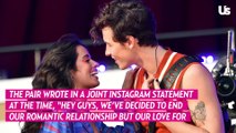 Camila Cabello Breaks Her Silence on Shawn Mendes Split