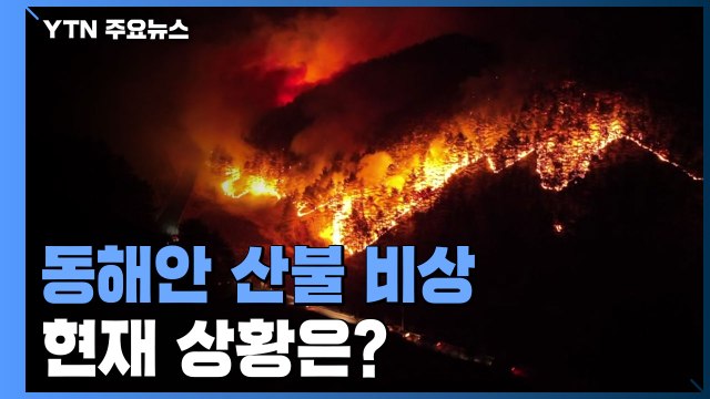 동해안 잇단 산불...방화선 구축해 산불 확산 저지 / YTN