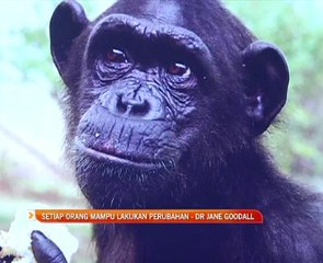 'Setiap orang mampu lakukan perubahan' - Dr Jane Goodall