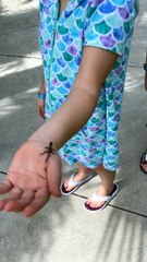 Lizard Jumps Up Girl's Arm and Scares Her