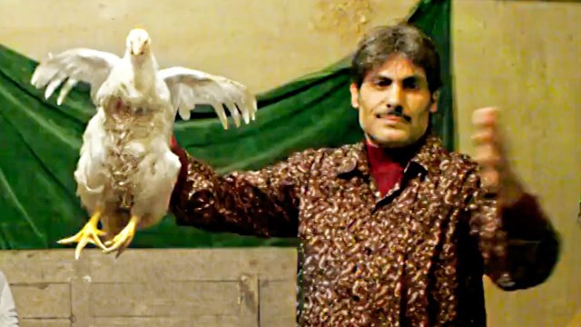 PLUMES Bande Annonce VOST