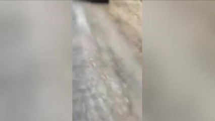 Los ataques de la resistencia ucraniana están frenando la invasión rusa