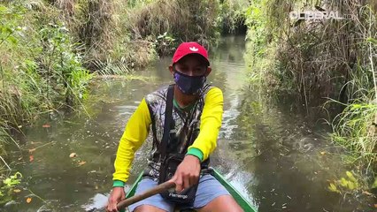 Floresta Encantada de Alter do Chão atrai turistas no inverno amazônico