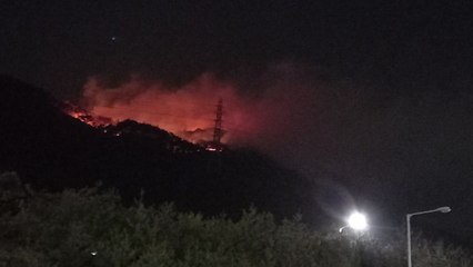 부산 아홉산서 하루 만에 또 불...강풍에 진화 난항 / YTN