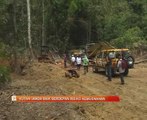 Hutan Janda Baik berdepan risiko kemusnahan