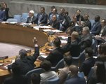 Russia vetoes UN resolution on Aleppo truce