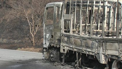 삼척 산불 진화 속도...복구작업도 시작 / YTN