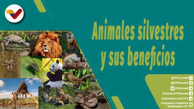 Punto Verde | Animales silvestres y el equilibrio de los ecosistemas