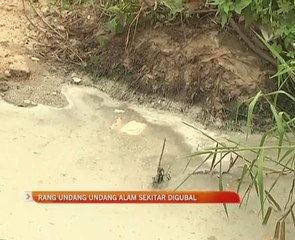 Rang undang-undang alam sekitar digubal