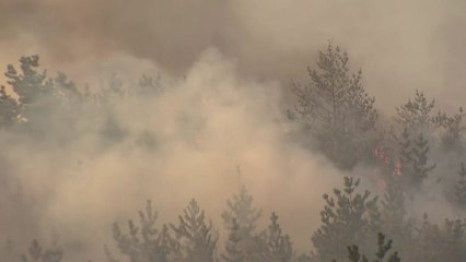 산불이 덮친 강원·경북 경계 마을...LNG 기지 방어 / YTN