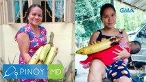 Pinoy MD: Higanteng saging, bakit naging halos kasing laki ng isang sanggol?