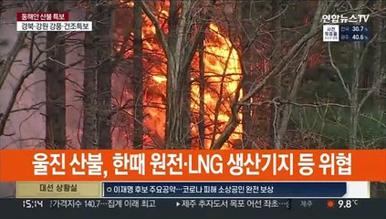[뉴스초점] 강릉 산불, 동해까지 확산…"일몰까지 주불 제압"