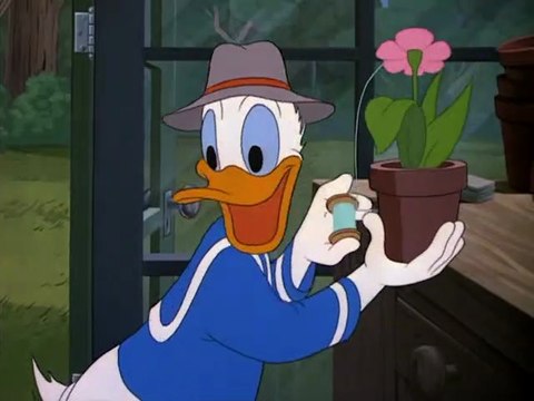 Honey Harvester 1949