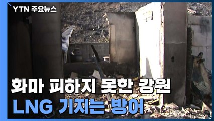 화마 피하지 못한 강원·경북 경계 마을...LNG 기지는 방어 / YTN