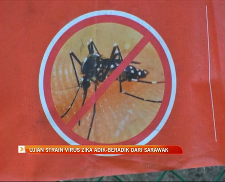 Ujian strain virus zika adik-beradik dari Sarawak
