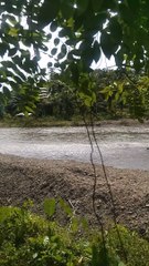 river bank stem dareh