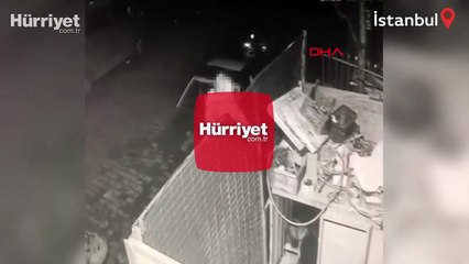 Başakşehir'de köpeğe ateş ettiği kameraya yansıyan şüpheli yakalandı
