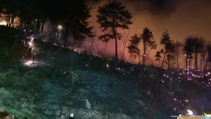 강릉 산불 동해로 급속 확산...곳곳 대피령·시가지 위협 / YTN