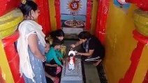 miracle or rumor देखिए- भगवान शिव का वाहन नंदी पी रहा दूध