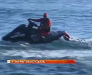 Nyaris maut diserang jerung