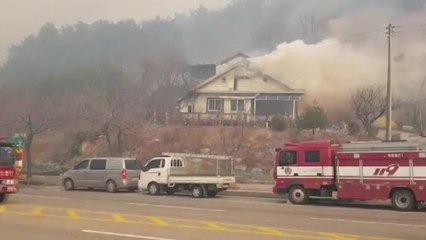 동해시 도심 덮친 산불...긴박한 제보 이어져 / YTN