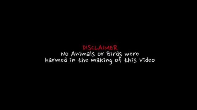 Crocodile Attacks 2022 Latest crocodiles live feeding only, @animals !! Explorin_HD_60fps