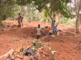 Ivory Coast becomes illegal gold mining hotspot