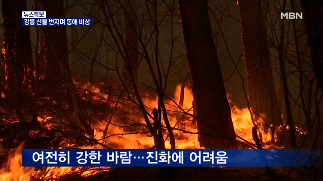 강릉 산불 경계 넘어 동해까지…강풍에 진화 한계