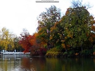 Leo's RC Simulator #12