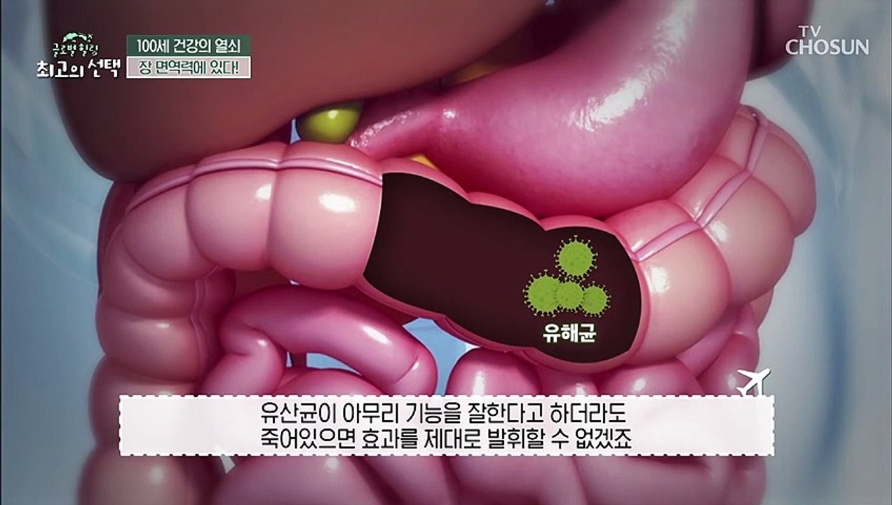 대장암을 극복한 주인공이 먹는 장 질환 예방하는 유산균! TV CHOSUN 20220...