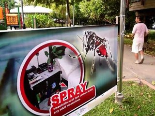 Singapore wages war on Zika-bearing mosquitoes