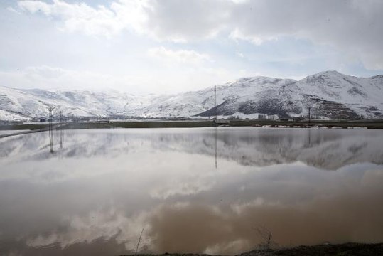 Muş Ovası'nda bazı bölgeler eriyen kar ve sağanak nedeniyle suyla kaplandı