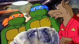 Teenage Mutant Ninja Turtles S04 E29