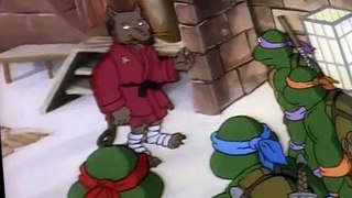 Teenage Mutant Ninja Turtles S04 E40