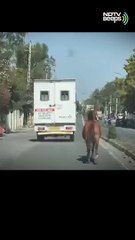 مش قادر على فراقها.. حصان يطارد سيارة إسعاف تنقل شقيقته المصابة