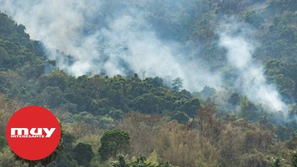 Скачать видео: Así destruye el humo de los incendios la capa de Ozono