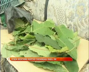 Penanaman ketum: Risda bentang kertas cadangan Rabu ini
