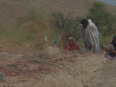 Mum says Pakistani starlet slain by brother over taunts