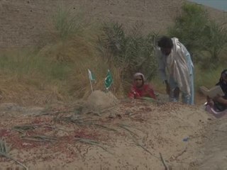 Mum says Pakistani starlet slain by brother over taunts