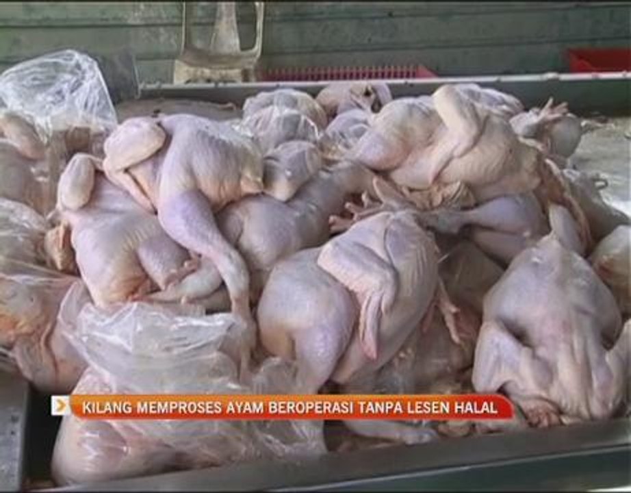Kilang memproses ayam beroperasi tanpa lesen halal