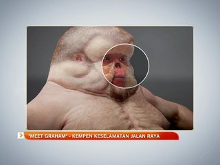 "Meet Graham" - kempen keselamatan jalan raya