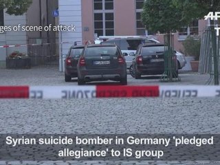 Syrian suicide bomber in Germany 'pledged allegiance' to IS