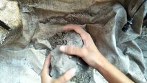 Gritty Sand Cement Dusty Dry Crumble Satisfying Cr: ASMR Crumble