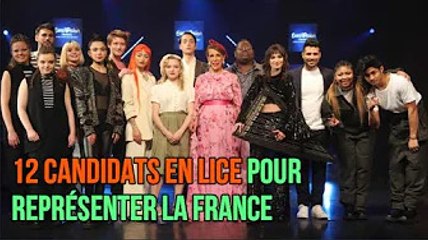 12 candidats en lice pour représenter la France