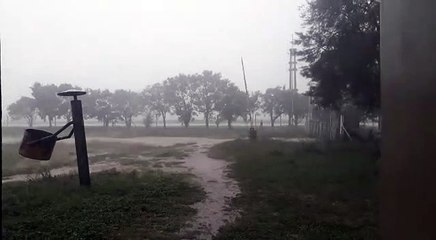 Cayeron postes y columnas en Los Altos por el temporal