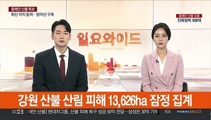 강원 산불 산림 피해 13,626ha 잠정 집계