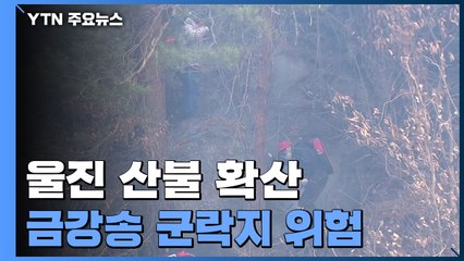 울진 산불 여전히 확산..."금강송 군락지 위험" / YTN