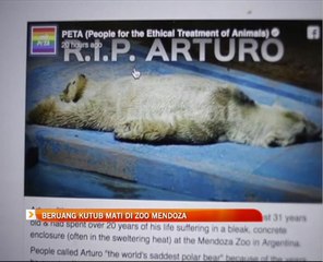 Beruang kutub mati di Zoo Mendoza